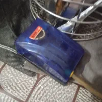 آکواریوم و ماهی|ماهی|قوچان, |دیوار