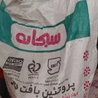 سویا سبحان