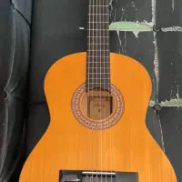 گیتار پارسی m2