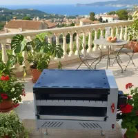 فر چند کاره سفره چین|اجاق گاز و لوازم برقی پختوپز|پیرانشهر, |دیوار