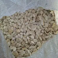 تخمه|خوردنی و آشامیدنی|رضویه, |دیوار