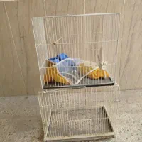 قفس پرنده|لوازم جانبی حیوانات|تربتحیدریه, ده پائین|دیوار