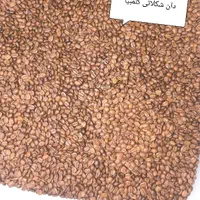فروش استثنائی دان قهوه به صورت تخصصی