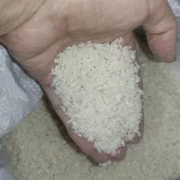 برنج هاشمی گیلان عطری و یکدست