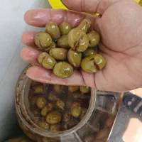 انواع زیتون.شکسته .کنسروی.ترشیجات.رب انار|خوردنی و آشامیدنی|رودبار, |دیوار