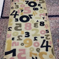 فرش ۲در۱ تمیز