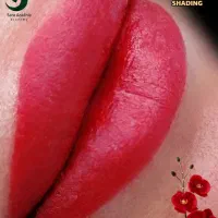 آموزش و خدمات آرایش دائم میکروپیگمنتیشن و فیبروز|خدمات آموزشی|نجف‌آباد, شهید رجایی|دیوار