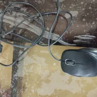 موس|قطعات و لوازم جانبی رایانه|زابل, |دیوار