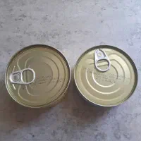 تن ماهی و مرغ