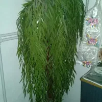 وسایل خانگی|حراج|بروجرد, |دیوار