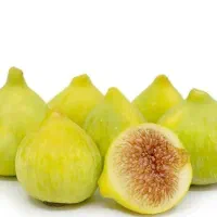 معتبرترین مرکز پیش فروش نهال لیبل دار انجیر عسلی|خدمات باغبانی و درختکاری|ابریشم, |دیوار