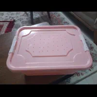 جانونی ظرف پرورش میلورم