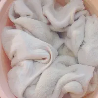 آلایش دامی|خوردنی و آشامیدنی|نقده, |دیوار