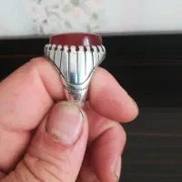 شخصی|جواهرات|کرج, کوی گلها|دیوار
