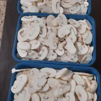 قارچ اسلایس|خوردنی و آشامیدنی|تهران, قیطریه|دیوار