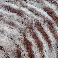 فروش فرش شنل۶متری ۲میلیونی