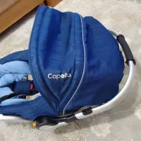 کریر و ساک حمل و  اسباب بازی رایگان