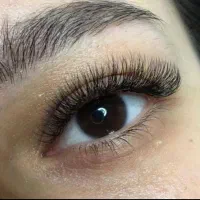 پذیرش مدل مژه با هزینه اقتصادی