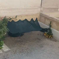 سایبان  برزنت ضخیم ضد اب و سایبان ۶ متری ریلی سبز|کوهنوردی و کمپینگ|شاهین‌شهر, عطار|دیوار