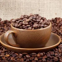 نیروی کار خانم قهوه فروشی