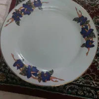 بشقاب پلو خوری وزیررو میوه خوری