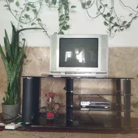 تلوزیون و میز تلویزیون بزرگ