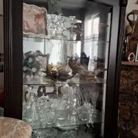 ویترین تمیز