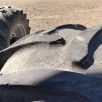 لاستیک عقب تراکتور|قطعات یدکی و لوازم جانبی|شادیان, |دیوار