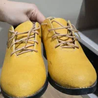 کفش چرم / چرمی|کیف، کفش، کمربند|گرگان, |دیوار