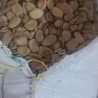سلام فروش باقالی
