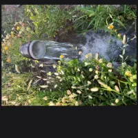 باغچه و باغ