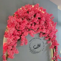 درخت شکوفه ایران گل تولیدنصب اجرا باسابقه درخشان