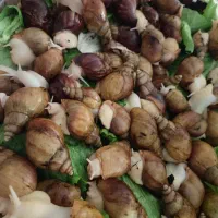 حلزون وخاویار