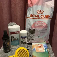 ست سیسمونی گربه