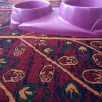 ظرف  غذای گربه