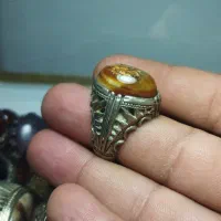 سلطانی هم رشدی با شجر خزه ای بهشهر|جواهرات|بهشهر, |دیوار