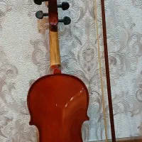 ساز|ویولن|تبریز, |دیوار