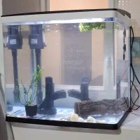 آکواریوم دلسا k500|ماهی|آبیک, |دیوار