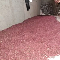 زرشک|عمده‌فروشی|زیرکوه, |دیوار