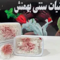 بستنی سنتی زعفرانی . فالوده وانیل کاکائو|خوردنی و آشامیدنی|تهران, بازار|دیوار