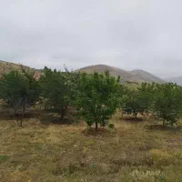 زمین-1000متری-قره-چن