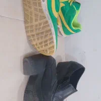 اسپرت و مجلسی