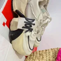 کفش کتونی|کیف، کفش، کمربند|پرند, فاز ۴|دیوار