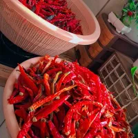 فلفل قرمز تند|خوردنی و آشامیدنی|پاکدشت, پاکدشت (مامازند)|دیوار