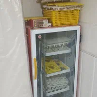 تعدادی لوازم منزل فروشی|صندلی و نیمکت|اردکان, |دیوار