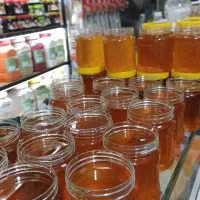 فروش عمده عسل گون درجه یک