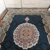 اجاره آپارتمان ۸۵ متری ۲ خوابه در میانرود|اجارهٔ آپارتمان|شیراز, میانرود|دیوار