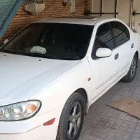 ماکسیما دنده 83 سفید