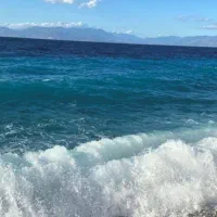 قالیشویی دریا   37239090