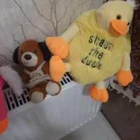 اسباب بازی|اسباببازی بچه|تالش, هشتپر|دیوار